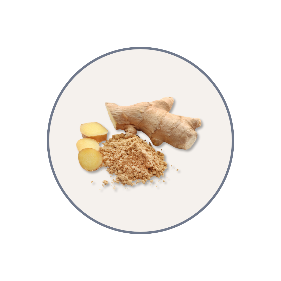 fresh ginger and powdered ginger side by side, culinary and wellness ingredient photo
