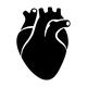 Heart_icon_3e35cbbe-f652-43ad-bfd9-d64a106aba71.png